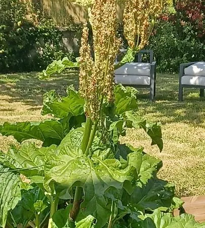 Lin Et L'hote 住宿加早餐酒店 3*