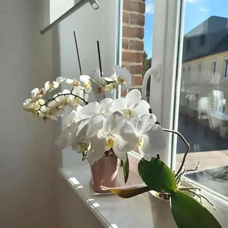 Lin Et L'hote 3* Preaux