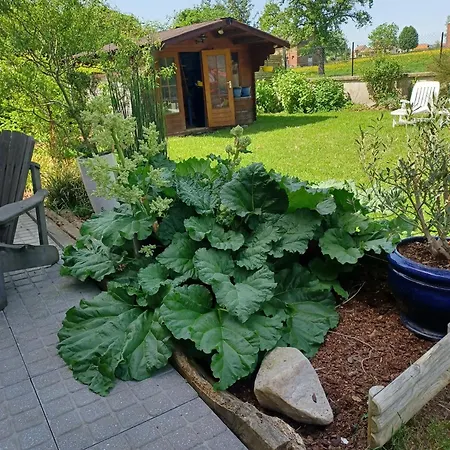 住宿加早餐酒店 Lin Et L'hote