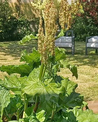 Lin Et L'hote Frühstückspension 3*