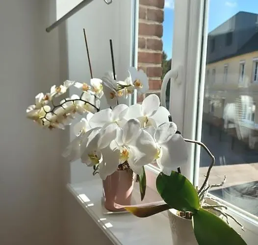 Lin Et L'hote 3* Preaux