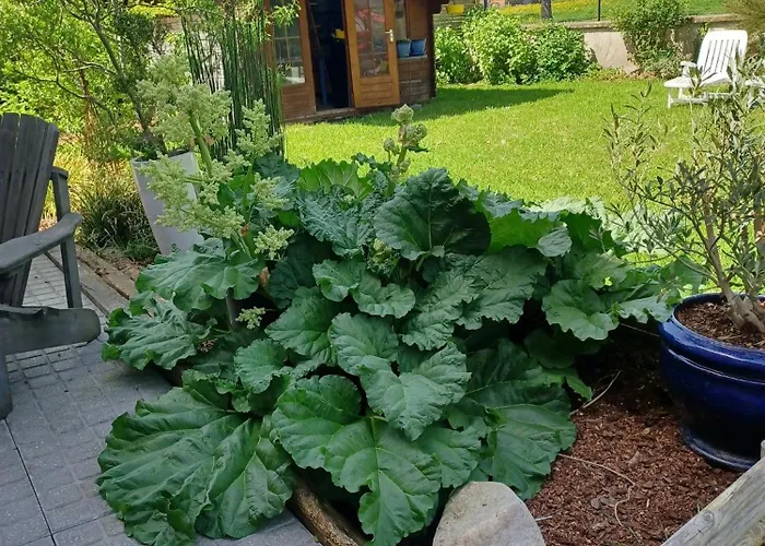 Frühstückspension Lin Et L'hote